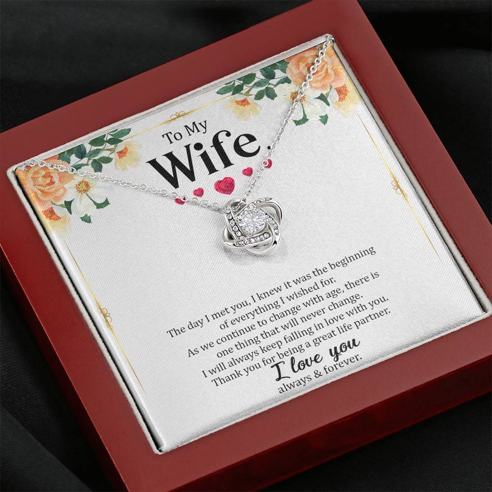 Wife - The Day I Met You